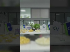 Agencia exclusiva de Soilmec para el territorio chino